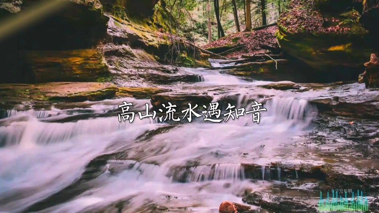 逗小猴开心系列172